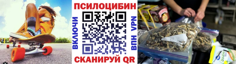 Купить  Рыбное  Псилоцибиновые грибы мицелий 